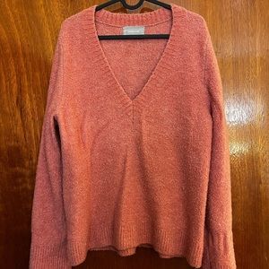 Everlane Pink Wool V-Neck Sweater